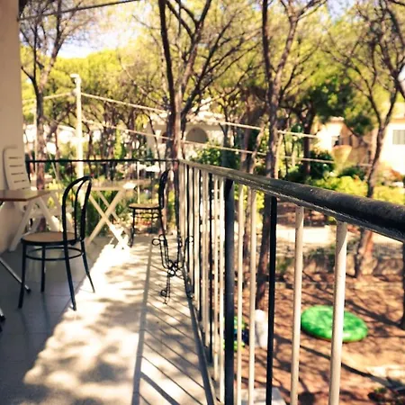 Apartment Rustico In Pineta - 200mt Dal Mare