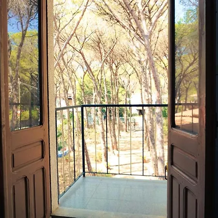 Apartment Rustico In Pineta - 200mt Dal Mare *