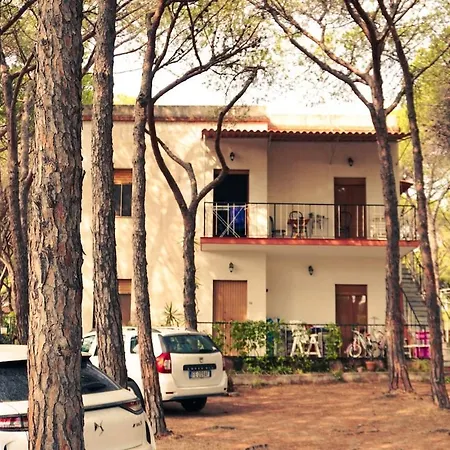 Rustico In Pineta - 200mt Dal Mare Apartment Fort Village