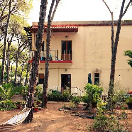 Rustico In Pineta - 200mt Dal Mare Apartment *