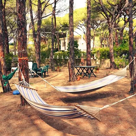 Rustico In Pineta - 200mt Dal Mare Apartment *