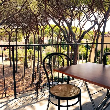 Apartment Rustico In Pineta - 200mt Dal Mare